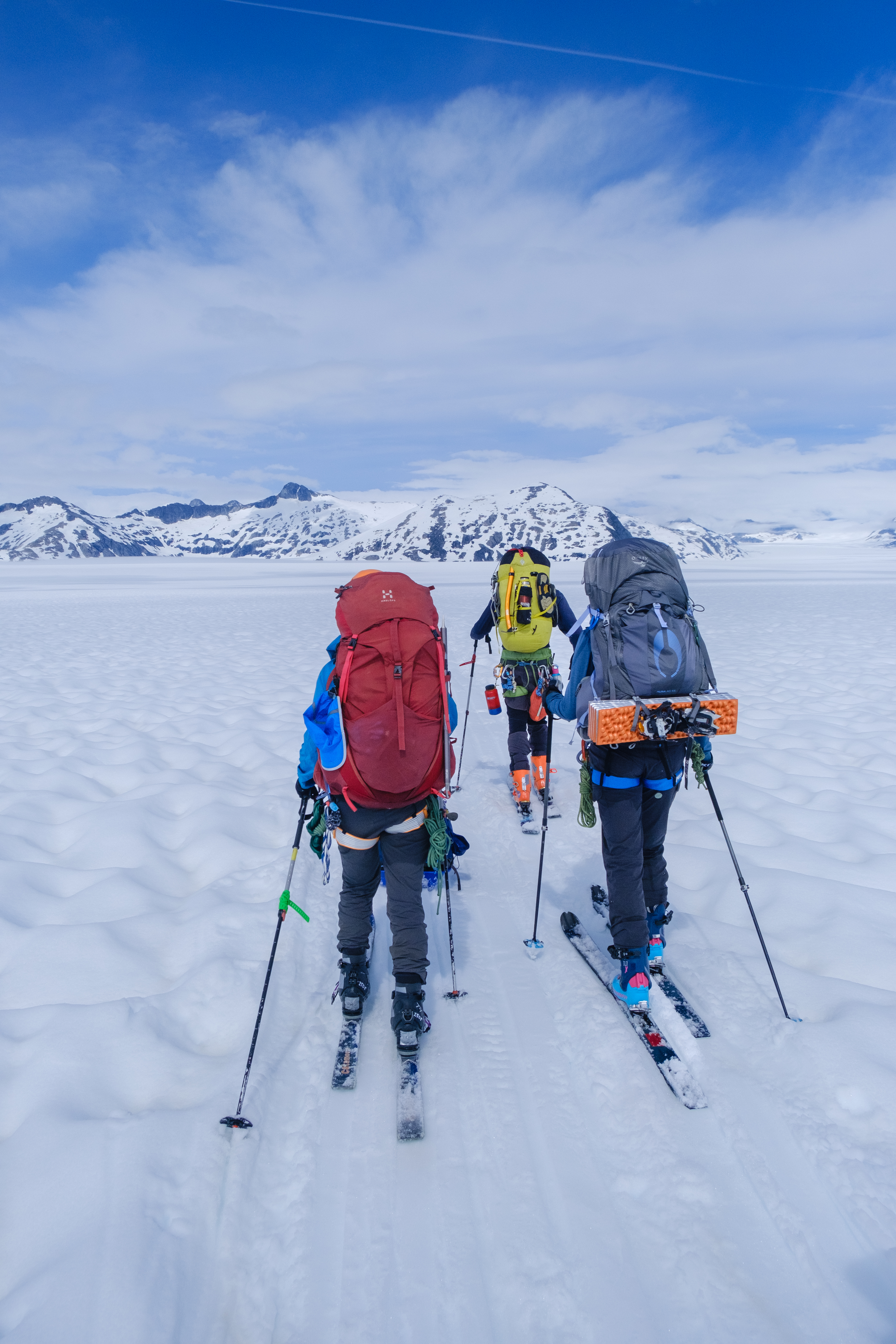 My fellow Jirpers on telemark skis, on one of their traverse days. You see three of them from behind, skiing on an endless glacier, with heavy packs.